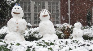 Snow people