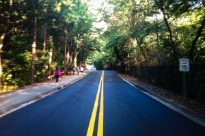emory road blurred